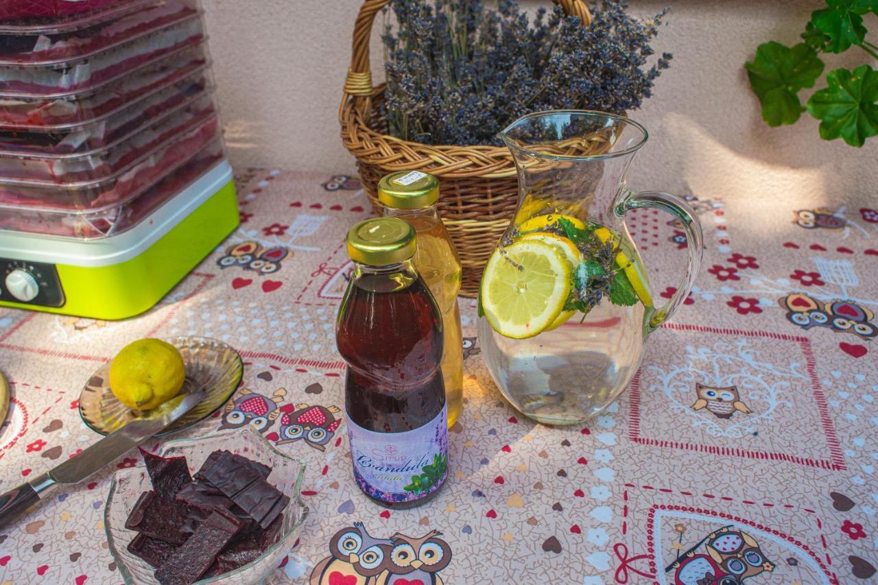 Bungalovy Natura Trávnica Esterno foto
